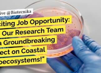 "Exciting Job Opportunity: Join Our Research Team for a Groundbreaking Project on Coastal Agroecosystems!"