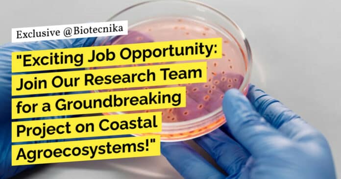 "Exciting Job Opportunity: Join Our Research Team for a Groundbreaking Project on Coastal Agroecosystems!" "Exciting Job Opportunity: Join Our Research Team for a Groundbreaking Project on Coastal Agroecosystems!"