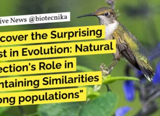 "Discover the Surprising Twist in Evolution: Natural Selection's Role in Maintaining Similarities among populations"