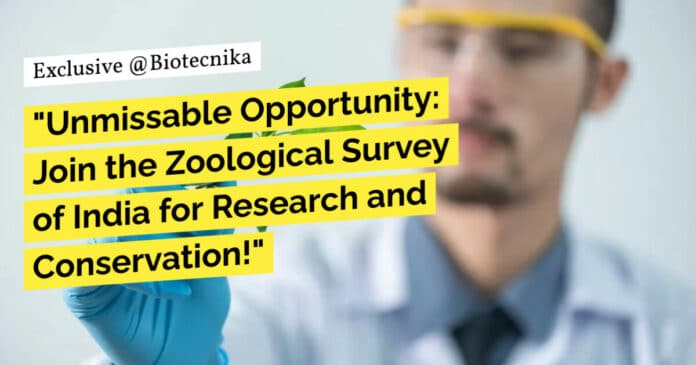 Govt ZSI Zoology Job - Apply For JRF Vacancy