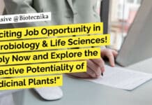 JNU Project Vacancy Available - MSc Microbiology & Life Sciences Apply