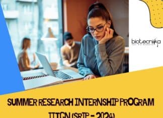 Summer Research Internship 2024