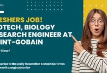 Saint-Gobain Freshers Job