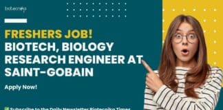 Saint-Gobain Freshers Job
