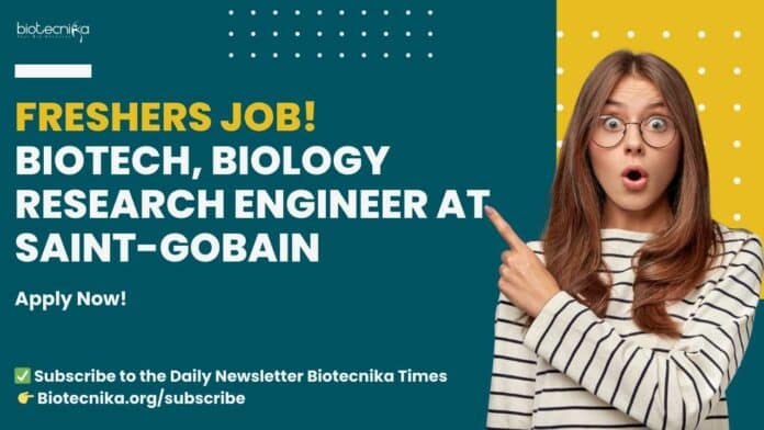 Saint-Gobain Freshers Job