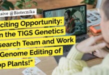 "Exciting Opportunity: Join the TIGS Genetics Research Team and Work on Genome Editing of Crop Plants!"
