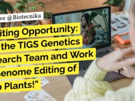 "Exciting Opportunity: Join the TIGS Genetics Research Team and Work on Genome Editing of Crop Plants!"