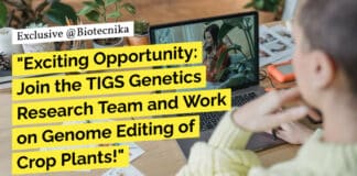"Exciting Opportunity: Join the TIGS Genetics Research Team and Work on Genome Editing of Crop Plants!"