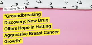 "Groundbreaking Discovery: New Drug Offers Hope in Halting Aggressive Breast Cancer Growth"