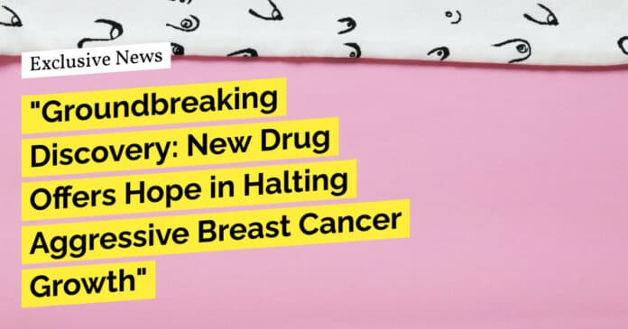 "Groundbreaking Discovery: New Drug Offers Hope in Halting Aggressive Breast Cancer Growth"