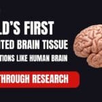 World's First 3D Printed Brain Tissue