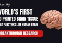 World's First 3D Printed Brain Tissue