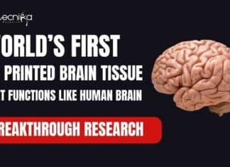 World's First 3D Printed Brain Tissue