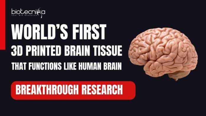 World's First 3D Printed Brain Tissue