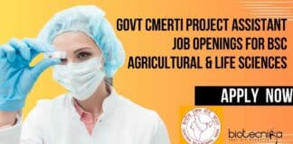 Govt CMERTI Project Assistant Job