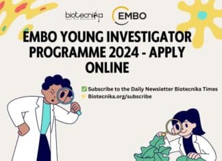 EMBO Young Investigator Programme 2024 – Apply Online EMBO Young Investigator Programme
