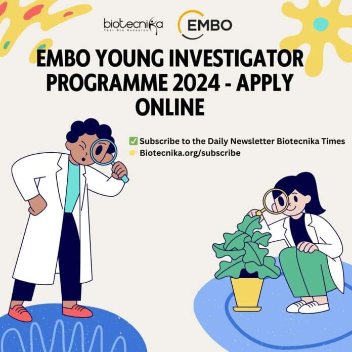EMBO Young Investigator Programme