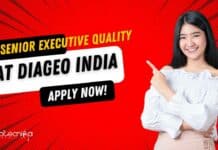 DIAGEO Quality Exec Jobs