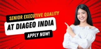 DIAGEO Quality Exec Jobs