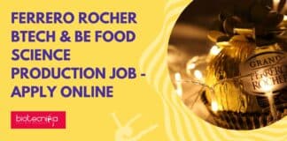 Ferrero Rocher Production Job
