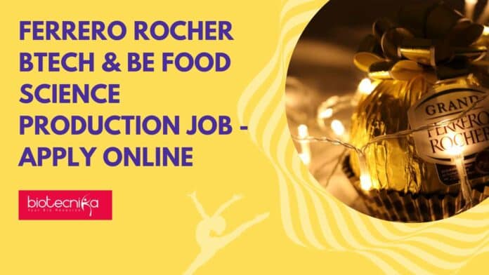 Ferrero Rocher Production Job