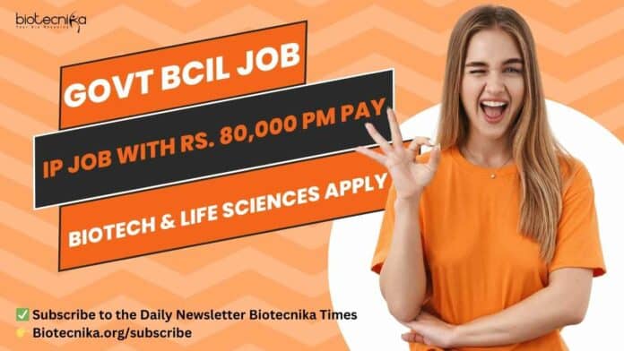Govt BCIL IP Manager Job
