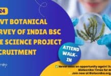 Govt BSI Project Job