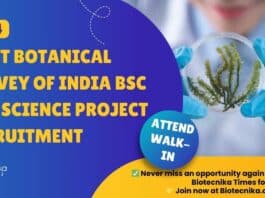 Govt BSI Project Job