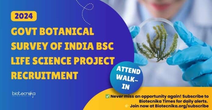 Govt BSI Project Job