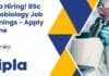 Cipla Hiring! BSc Microbiology Job Openings – Apply Online BSc Microbiology Jobs Latest