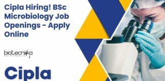 BSc Microbiology Jobs Latest