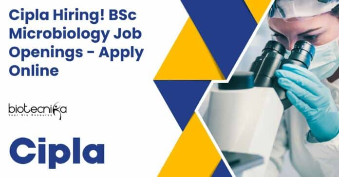 BSc Microbiology Jobs Latest
