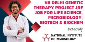 NII Delhi Project Vacancies