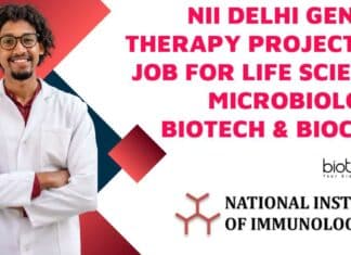 NII Delhi Project Vacancies