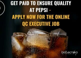 Online QC Executive Job
