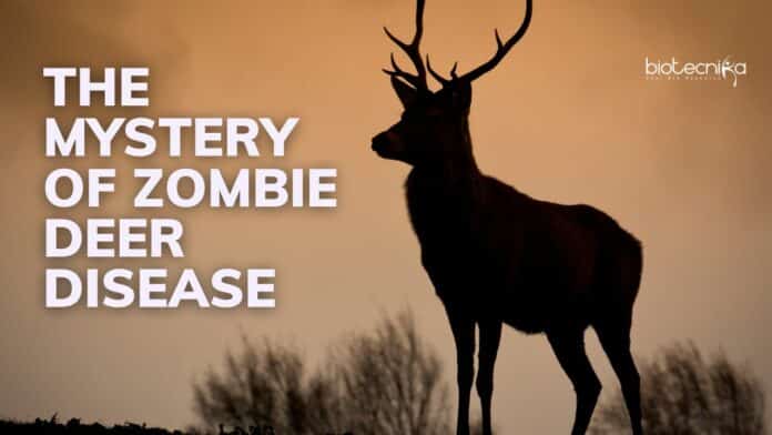 Understanding Zombie Deer Disease