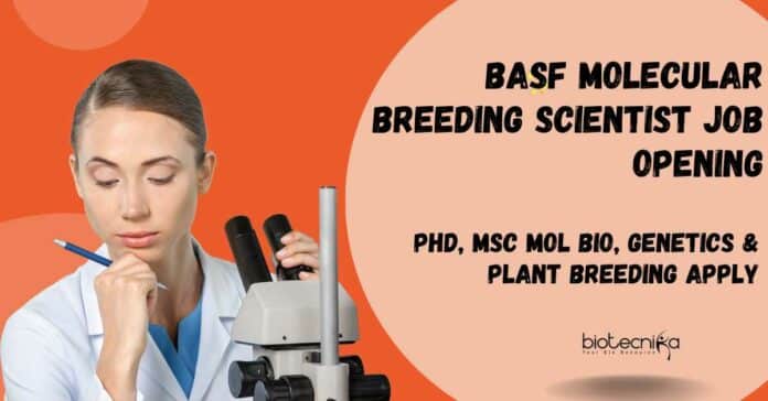 Scientist Molecular Breeding