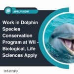 Work in Dolphin Species Conservation Program at WII – Biological, Life Sciences Apply WII Biological Sciences Projects Jobs - Life Science, Zoology Apply