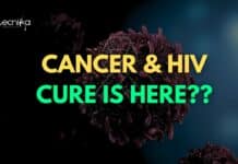 California Man Beats Cancer & HIV With Revolutionary Treatment!