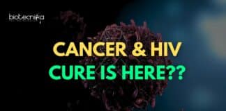 California Man Beats Cancer & HIV With Revolutionary Treatment!