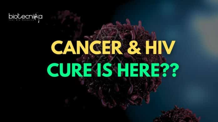 California Man Beats Cancer & HIV With Revolutionary Treatment!