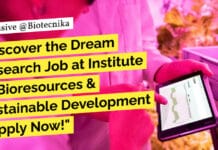 Govt IBSD Food Tech, Life Sciences, Biotech, Biochem Job With Rs. 47,000 pm Pay, Apply Now "Discover the Dream Research Job at Institute of Bioresources & Sustainable Development - Apply Now!"