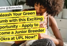 "Unleash Your Green Thumb with this Exciting Opportunity - Apply to Become a Junior Breeder for Okra at UPL Now!"