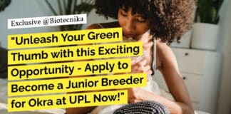 "Unleash Your Green Thumb with this Exciting Opportunity - Apply to Become a Junior Breeder for Okra at UPL Now!"