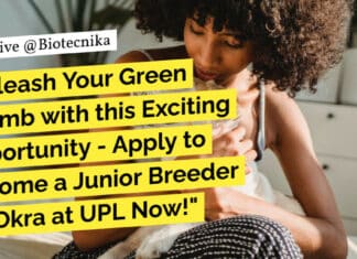 Unleash Your Green Thumb with this Exciting Opportunity – Apply to Become a Junior Breeder for Okra at UPL Now! "Unleash Your Green Thumb with this Exciting Opportunity - Apply to Become a Junior Breeder for Okra at UPL Now!"