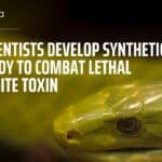 Synthetic Antibody to Combat Snakebite Toxin