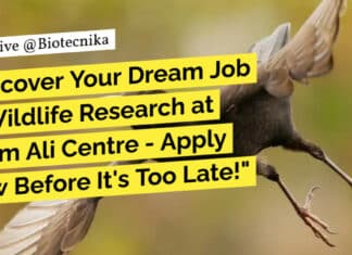 SACON Hiring! MSc & PhD Life Sciences, Zoology, Botany Apply For Multiple Project Vacancies SACON Hiring! MSc & PhD Life Sciences, Zoology, Botany Apply For Multiple Project Vacancies