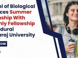 MKU Summer Internship 2024
