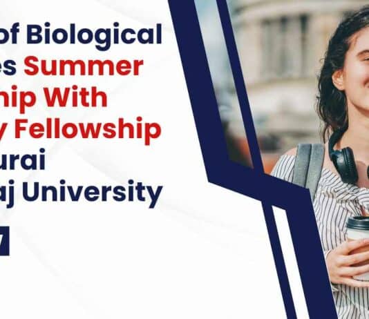 MKU Summer Internship 2024