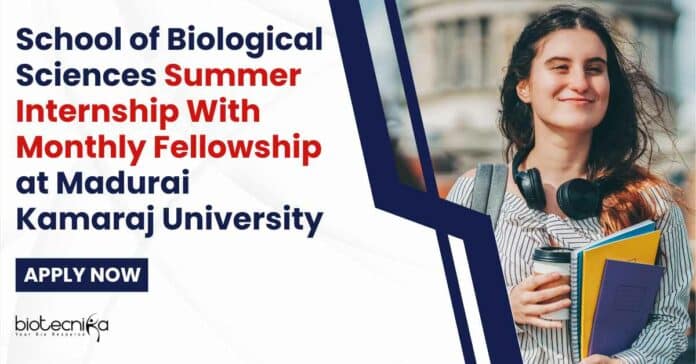 MKU Summer Internship 2024